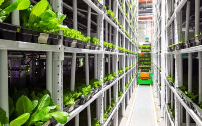 Navigating the Future: Key Food and Beverage Business Trends for 2024